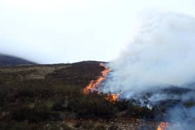 NI Water is keen to  remind the public to enjoy the Mourne Mountains and its other water catchment areas responsibly to reduce the risk of wildfires.