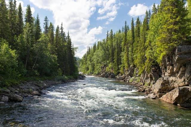 The project aims to combat water pollution