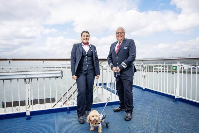 Henry gets some air out on desk with Stena Line staff