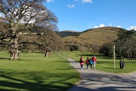 Kilbroney Park.
