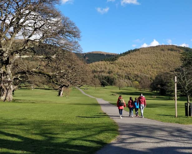 Kilbroney Park.