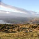 Slieve Martin, Rostrevor
