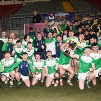 Shamrocks claim the Intermediate Hurling crown