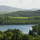 Castlewellan Forest Park.