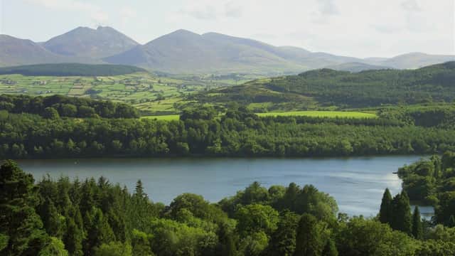 Castlewellan Forest Park.