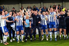 The Newry City players and management celebrate after they earned promotion from the Premier Intermediate League last season. Pics: Brendan Monaghan
