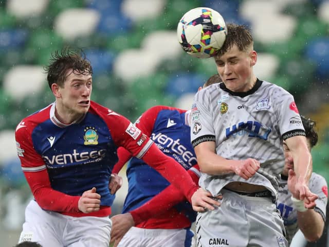 Sports Direct Premiership ,Windsor Park, Belfast16/3/2024Linfield FC  vs Newry City AFC Linfield   Daniel Finlayson  and Newry City  John McGovernMandatory Credit ©INPHO Brian Little