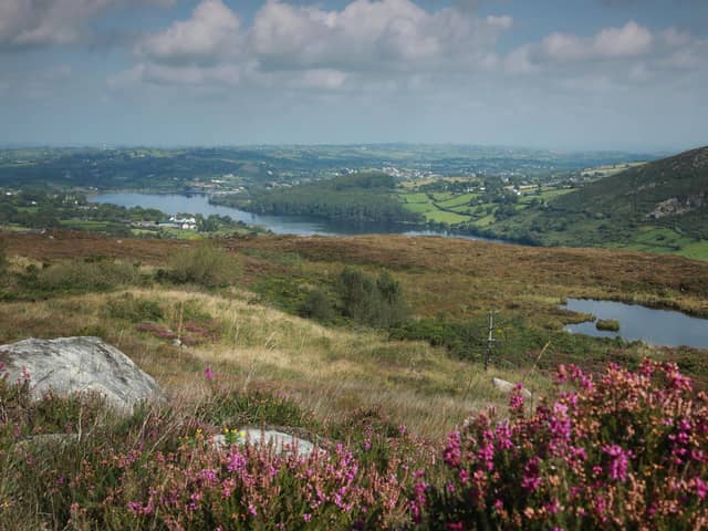 Members of Newry, Mourne and Down District Council struck the rate for the incoming financial year at 3.98%.