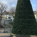 Kilkeel Christmas Tree.
