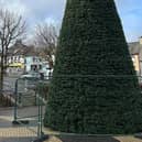 Kilkeel Christmas Tree.