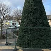 Kilkeel Christmas Tree.