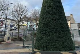 Kilkeel Christmas Tree.