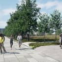 How the Biodiversity Zone could look.