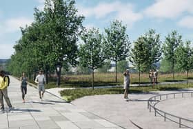 How the Biodiversity Zone could look.