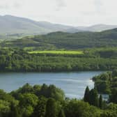 Castlewellan Forest Park.