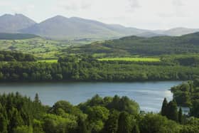Castlewellan Forest Park.