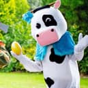 Daniel May, who is starring in Jack and the Beanstalk at the Courtyard Theatre, has become a foster carer.
