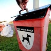 A dog poo bin