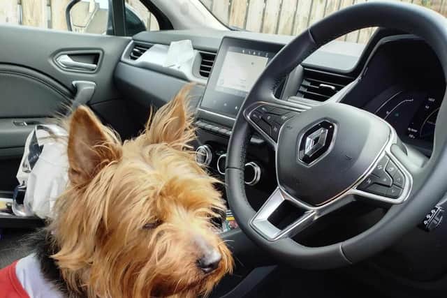 Gary's dog Jessica.
